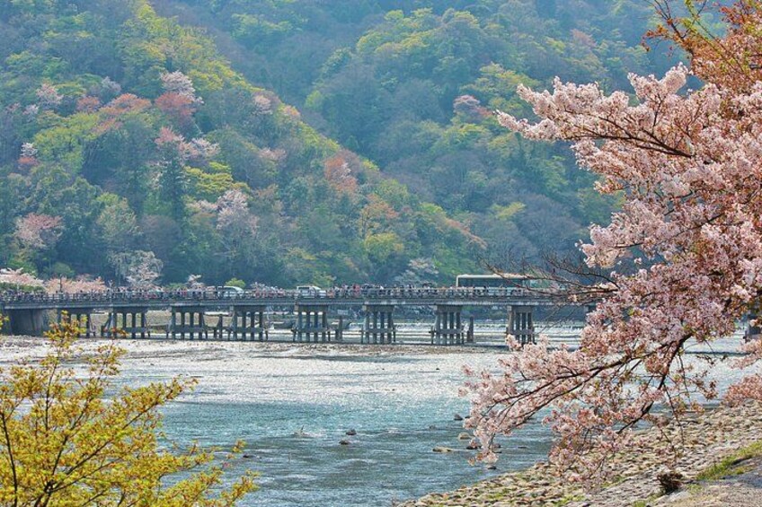 Kyoto: Arashiyama Unveiled – Bamboo, Temple, Matcha, Monkeys 2