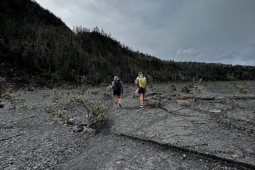 Guided Hike Adventure: Kilauea Iki and Lava Tube 3