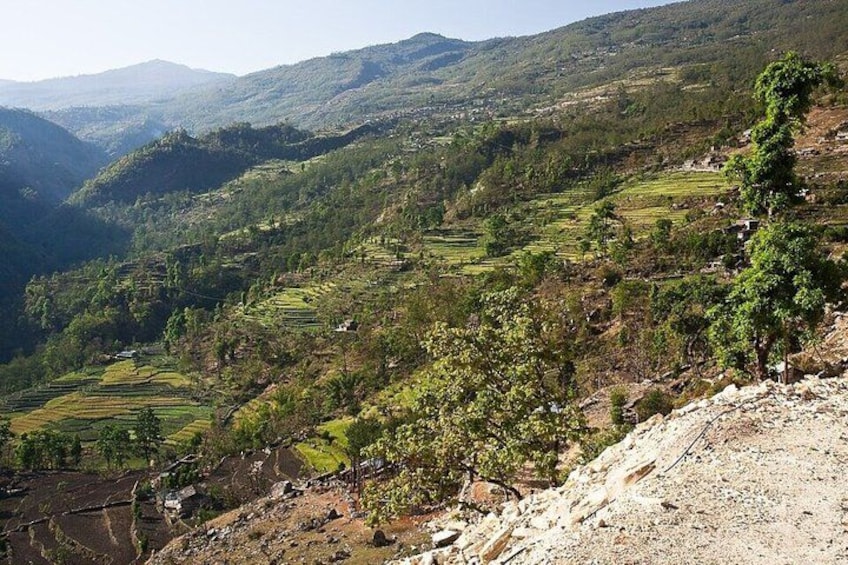 Terraced fields, a mountainous landscape, and a rocky foreground. 5