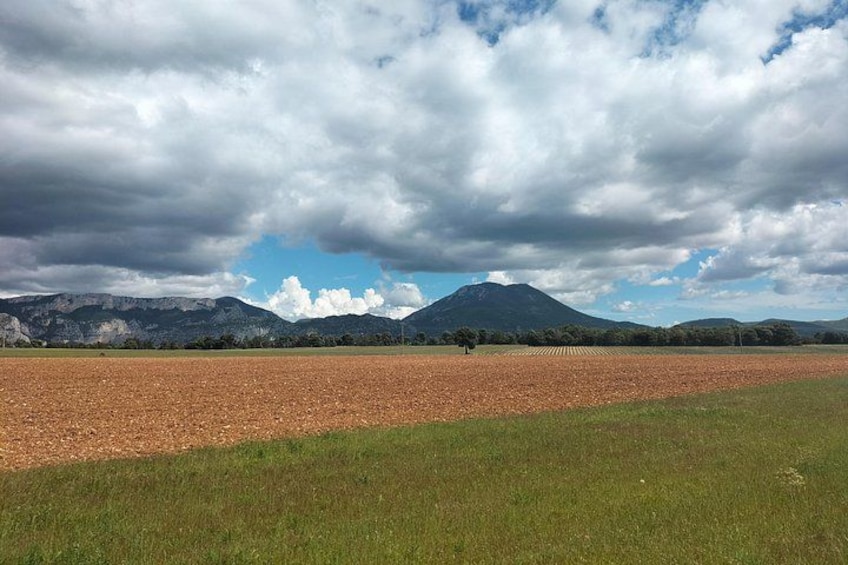 A plowed field, a grassy area, and a mountain in the distance under a cloudy sky. 4