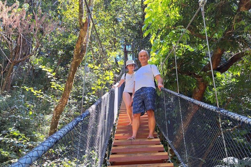 A wooden suspension bridge in a forested area. 2