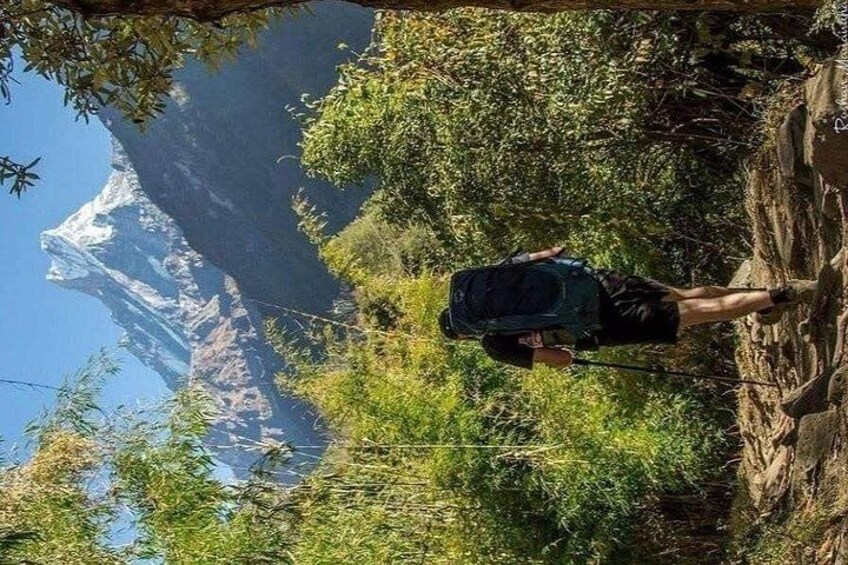 Un randonneur sur un sentier, portant un sac à dos, entouré de verdure et avec une montagne en arrière-plan. 2