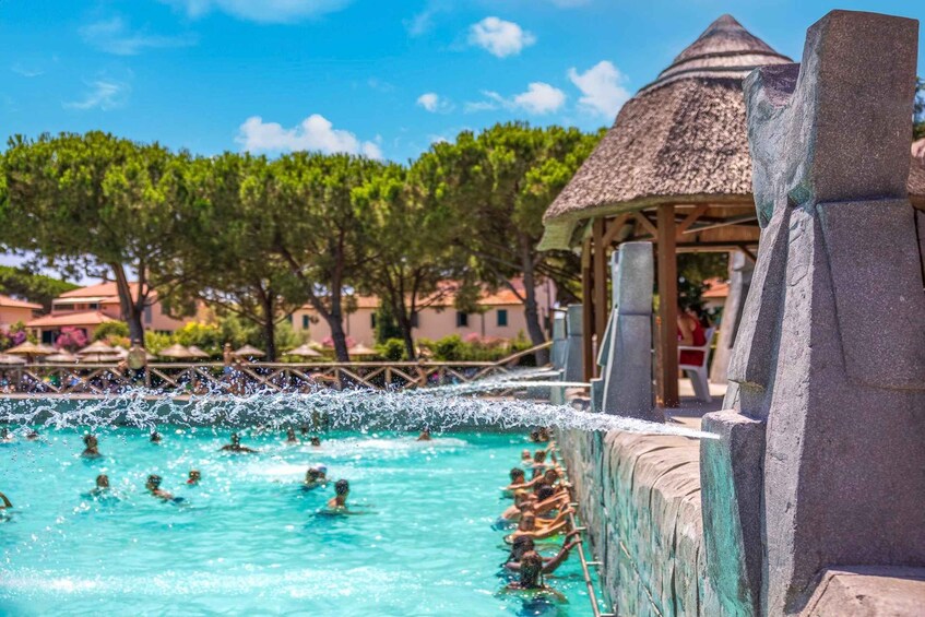 A swimming pool with people in the water, a thatched-roof structure, and trees in the background. 5
