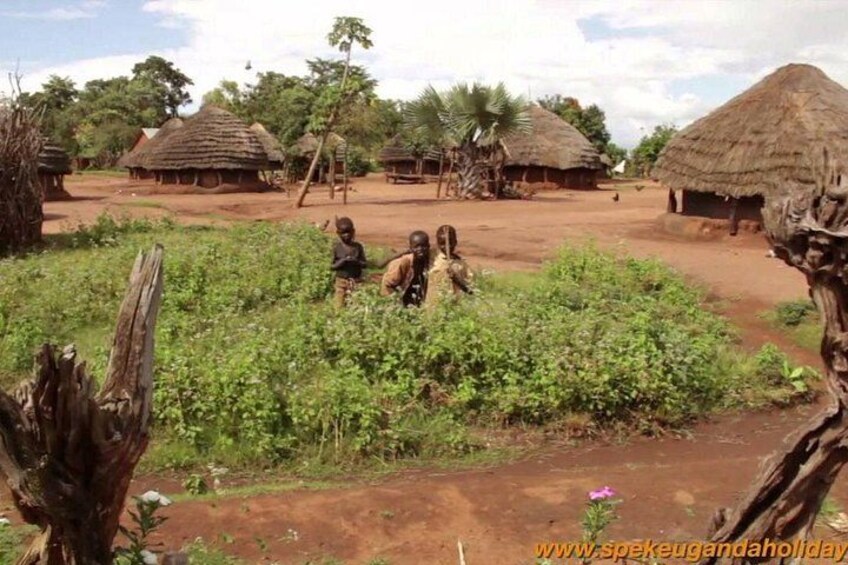 7 Days Uganda Big 5 Safari 3
