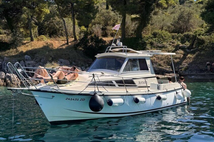 A white boat with the number 244431 ZD on its side, docked near a rocky shore with trees in the background. 3