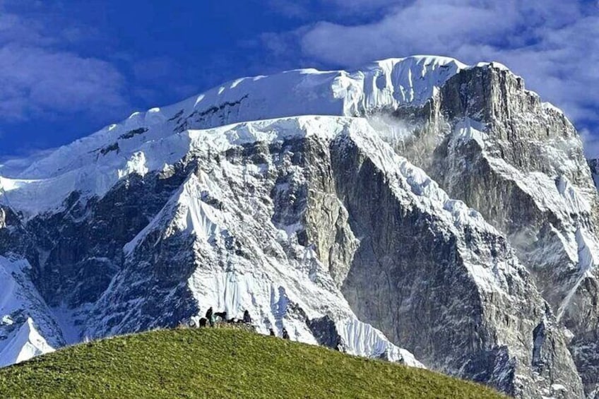 Une montagne enneigée, avec un sommet rocheux et une pente herbeuse. 2