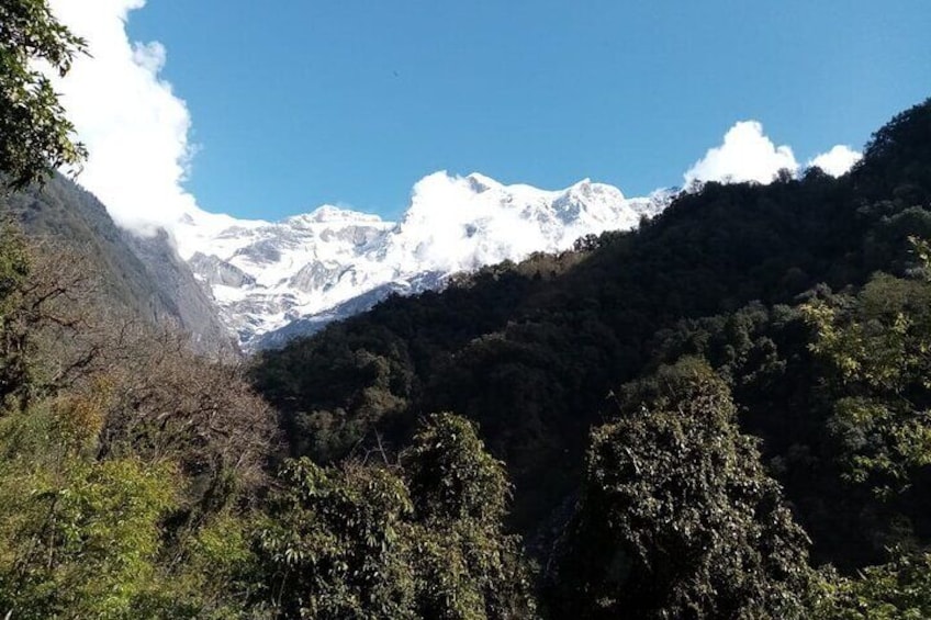 Un paysage montagneux, avec une forêt dense et des sommets enneigés sous un ciel dégagé. 4
