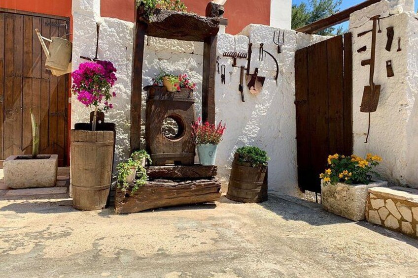 Typical Apulian Cooking Class & Dinner based on fish 2