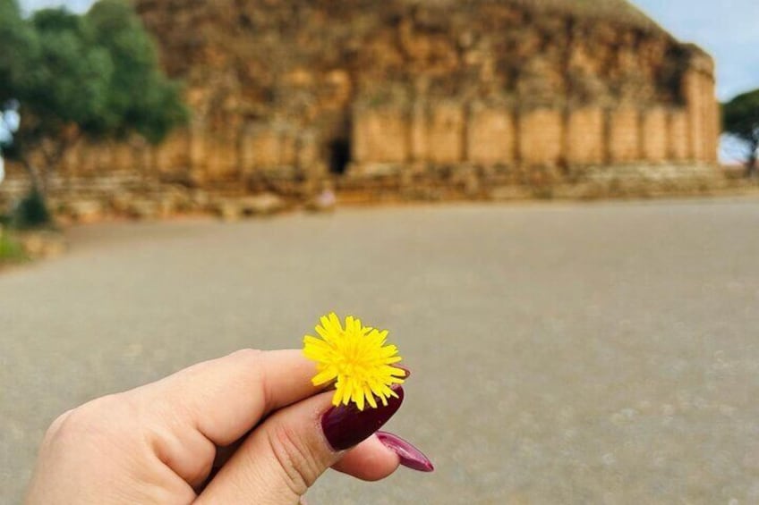 Explore the Ruins of Tipaza and Cherchell 5