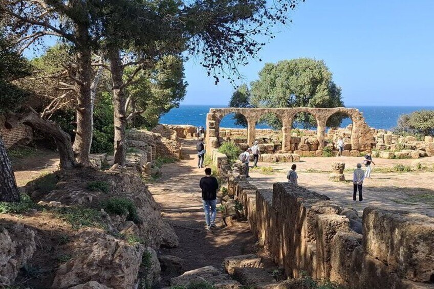 Explore the Ruins of Tipaza and Cherchell 2