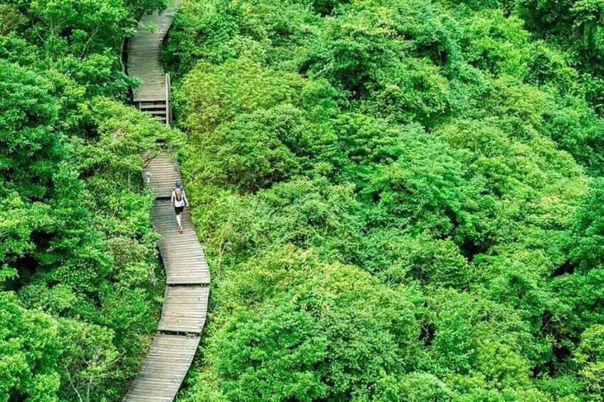 The Big Buddha & Lantau Island - Private Tour with Private Car 1