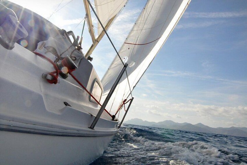 Under big genoa 5