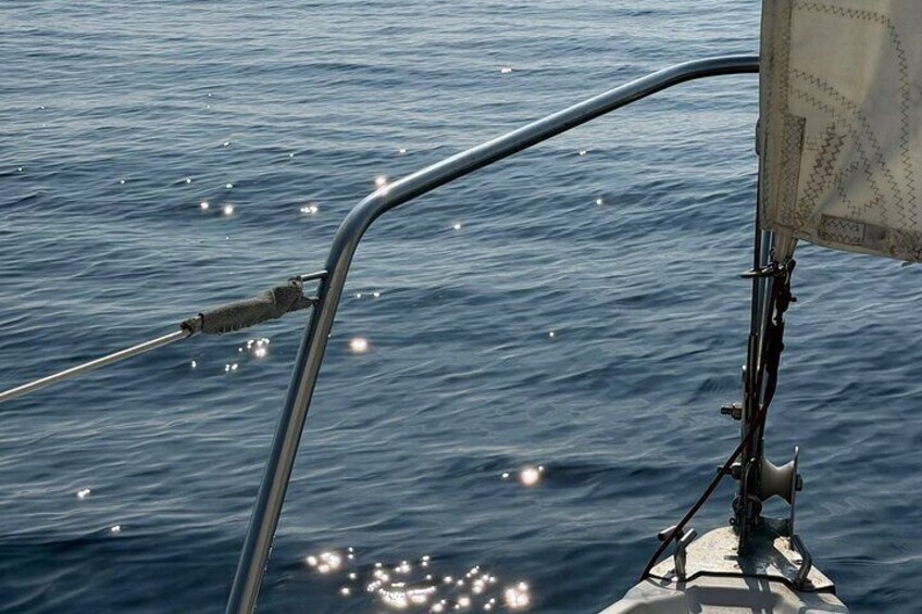 A boat's metal railing and a rope extending into the water. 5