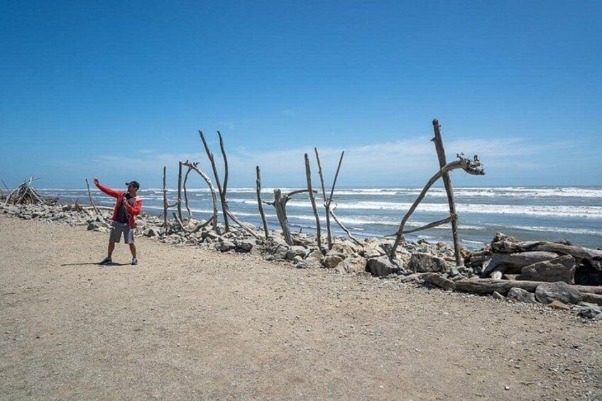 A person standing on a sandy beach with driftwood and rocks, ocean waves in the background. 3