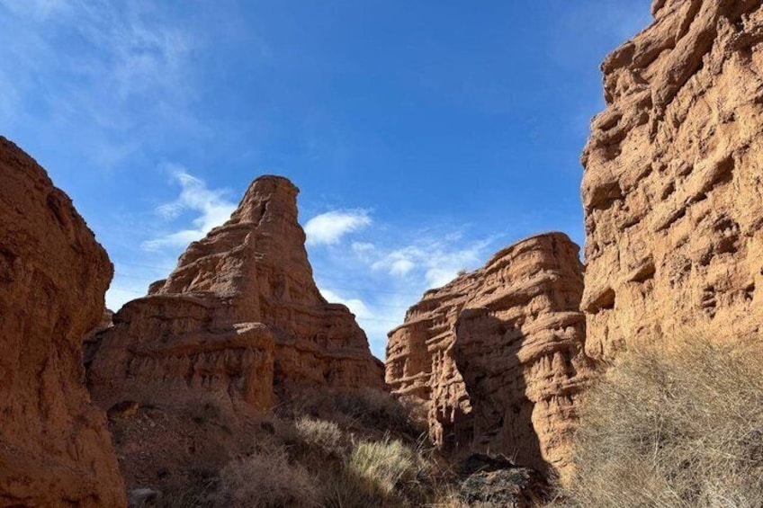 Eine Schlucht mit roten Felsformationen und vereinzelter Vegetation. 5