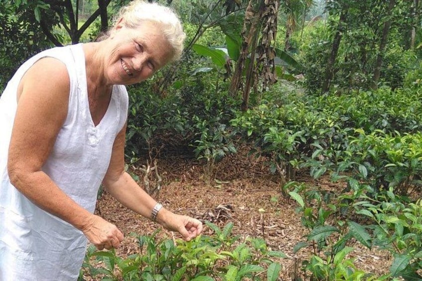 A person tending to plants in a garden with dense foliage and trees in the background. 2