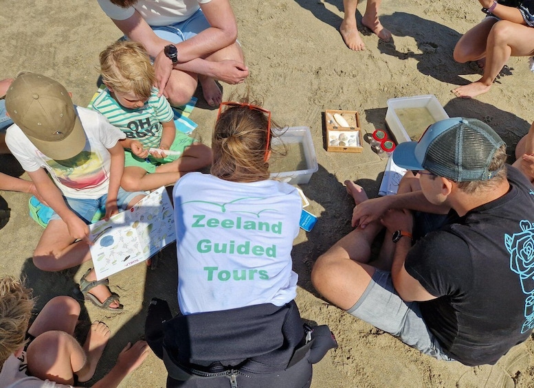 Picture 11 for Activity Zeeland Strand safari met visnet NL/DE 4