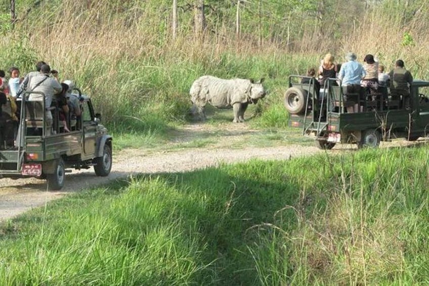 A safari vehicle with passengers observing a rhinoceros in a grassy area. 3