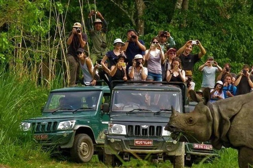 A green off-road vehicle with people standing on top, surrounded by lush greenery. 2