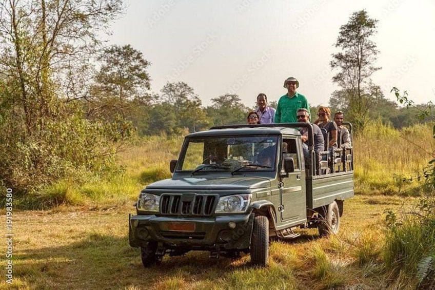 A group of people in a green off-road vehicle on a grassy path with trees in the background. 5