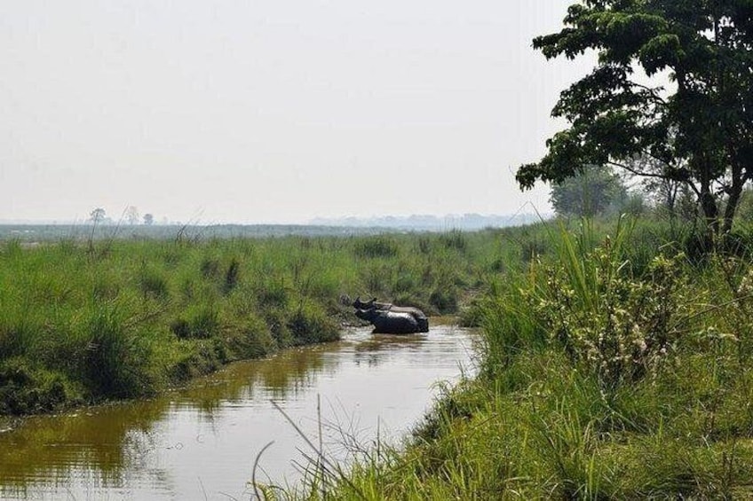 Half Day Sharing Jeep Safari in Chitwan National Park 3