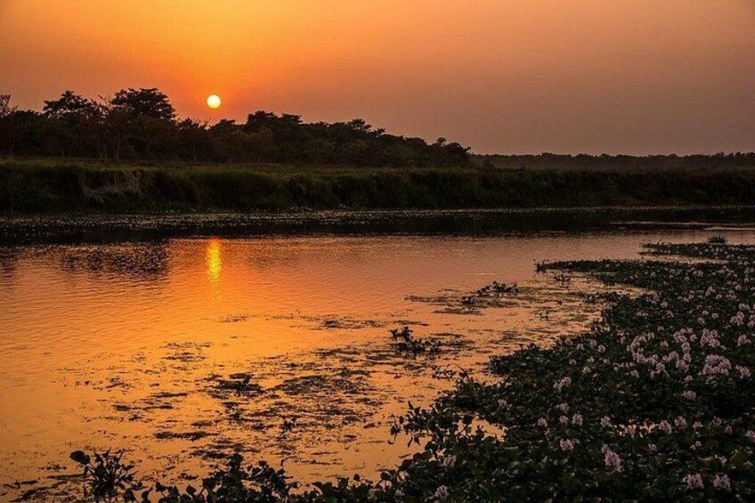 Half Day Sharing Jeep Safari in Chitwan National Park 2