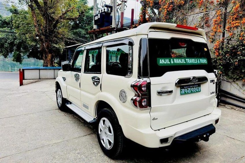 Un SUV blanco estacionado sobre una superficie de concreto, con una placa de matrícula visible. 5