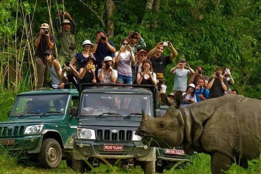 A group of people on a green vehicle with a rhinoceros in a natural setting. 3