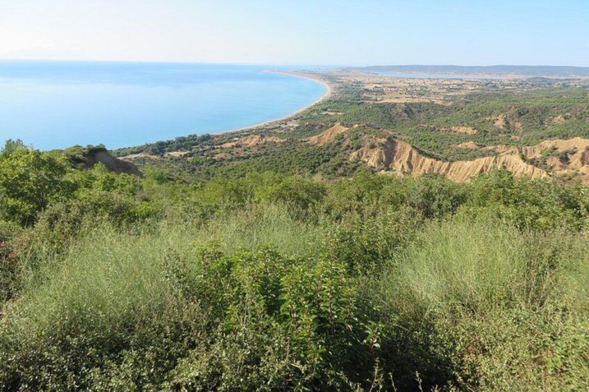 A coastal landscape with a view of the sea, rolling hills, and dense vegetation. 3
