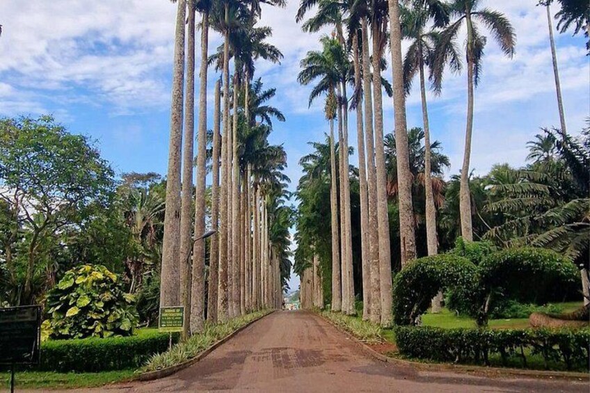 Aburi Botanic Gardens 1