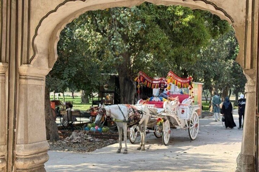 Lahore Private Tour-Fort, Walled City Royal Mosque & Wagah Border 5