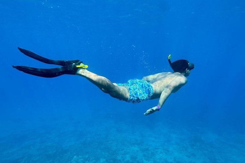 Private Snorkel Photos Included 3