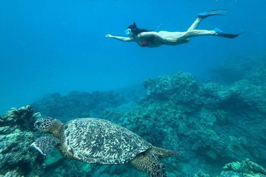 Private Snorkel Photos Included 2
