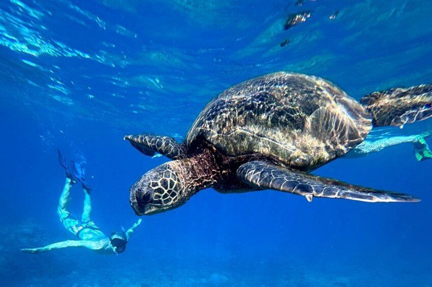 Private Snorkel Photos Included 5