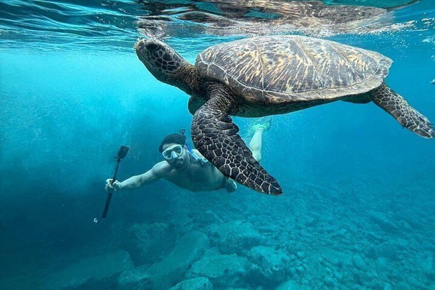 Private Snorkel Photos Included 2