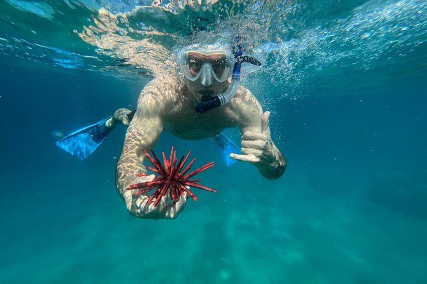 Private Snorkel Photos Included 4