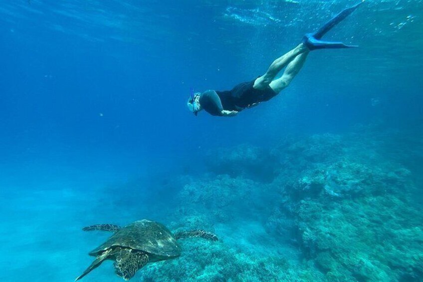 Private Snorkel Photos Included 5