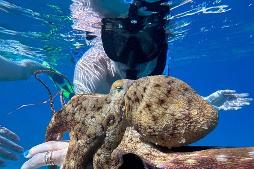 Private Snorkel Photos Included 1