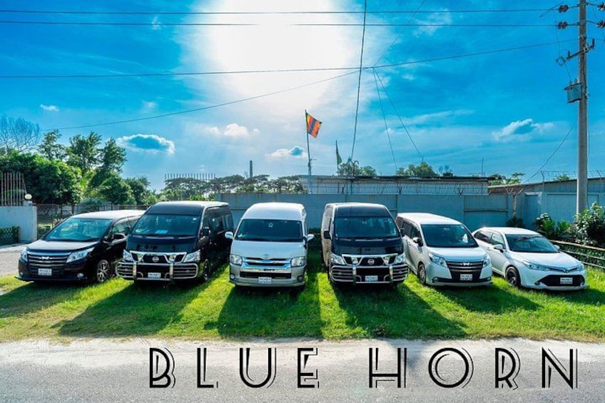 A row of cars parked on a grassy area with a clear sky and a flag in the background. 2