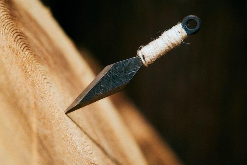 Un cuchillo con mango de madera y un anillo negro cerca de la hoja. 5