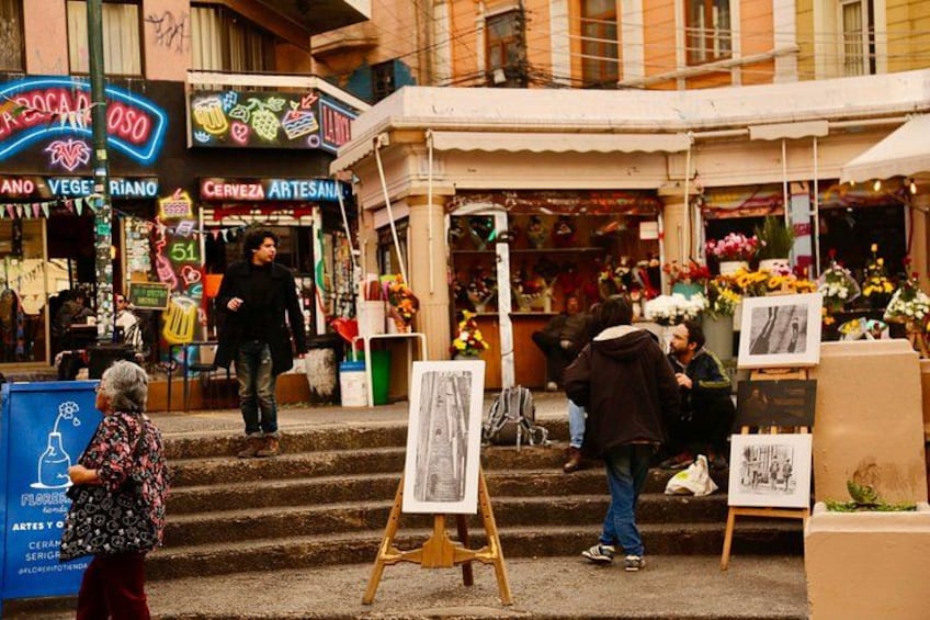 Transfer From Santiago to Valparaiso Cruise Ship + Tour & Winery 2