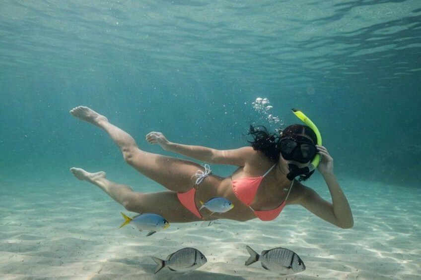 A person snorkeling underwater with fins and a mask. 4