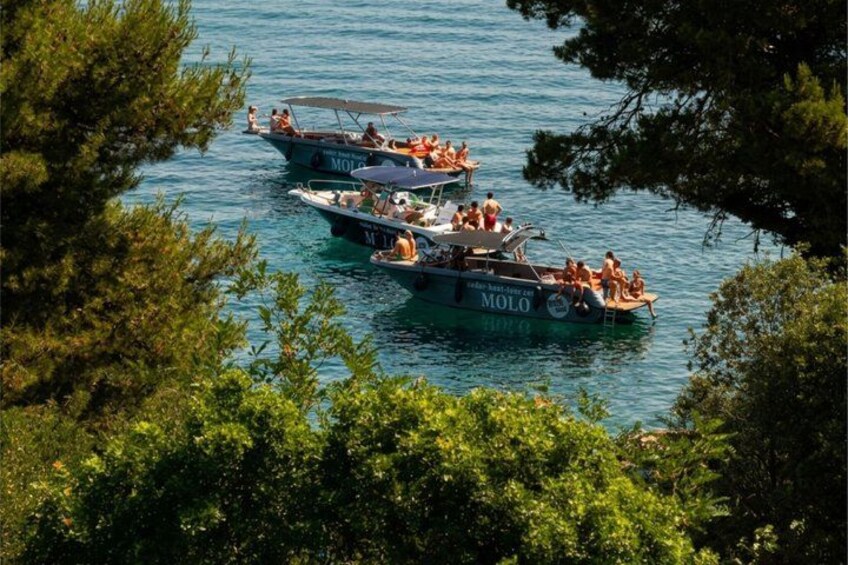 Three boats on a calm body of water surrounded by dense green foliage. 3