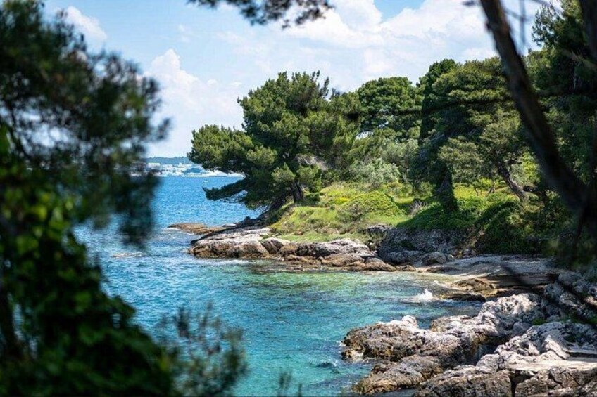 A coastal landscape with rocky shores, clear blue water, and dense green trees. 3