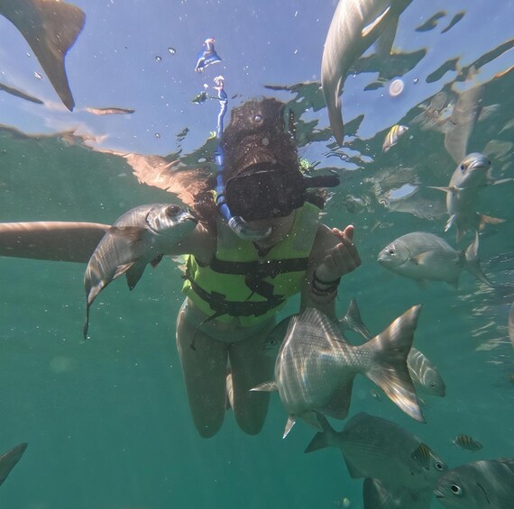 A diver surrounded by fish in clear water. 4