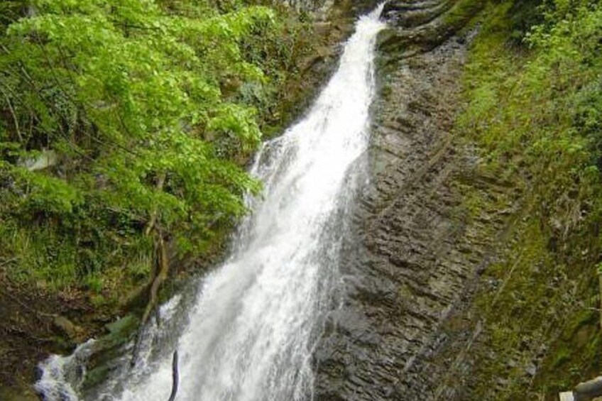 Une cascade dévalant une pente rocheuse, entourée d’une végétation luxuriante. 5