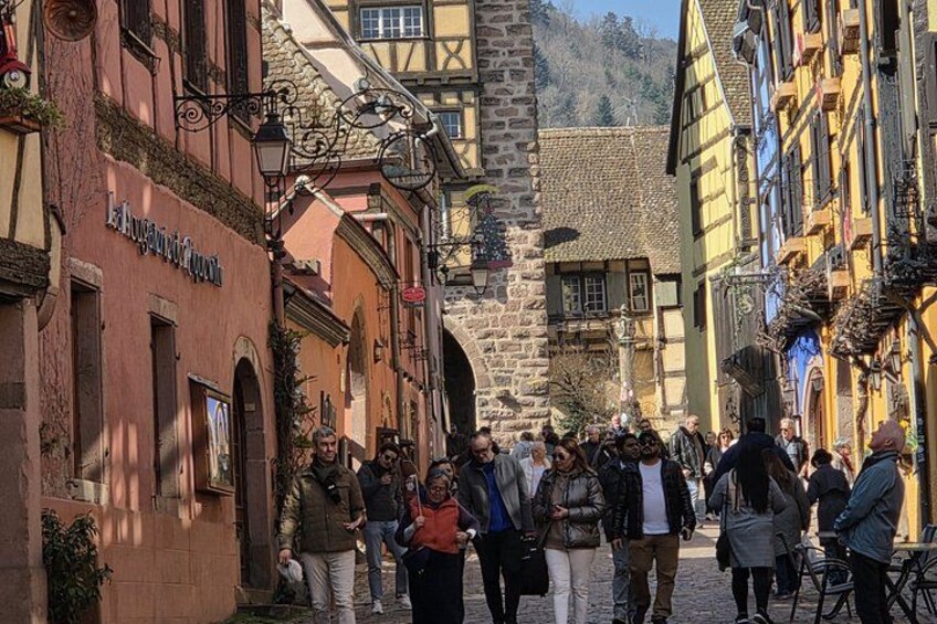 Price instead: From Strasbourg to Château ,Riquewihr and Colmar 2