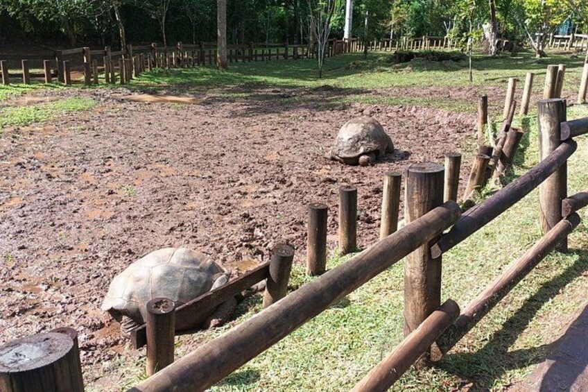 Private Tour in South of Mauritius 4