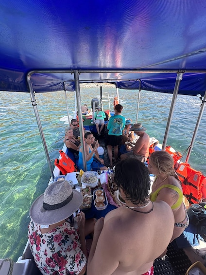 Picture 8 for Activity Zihuatanejo: Marine Life Observation Tour 5