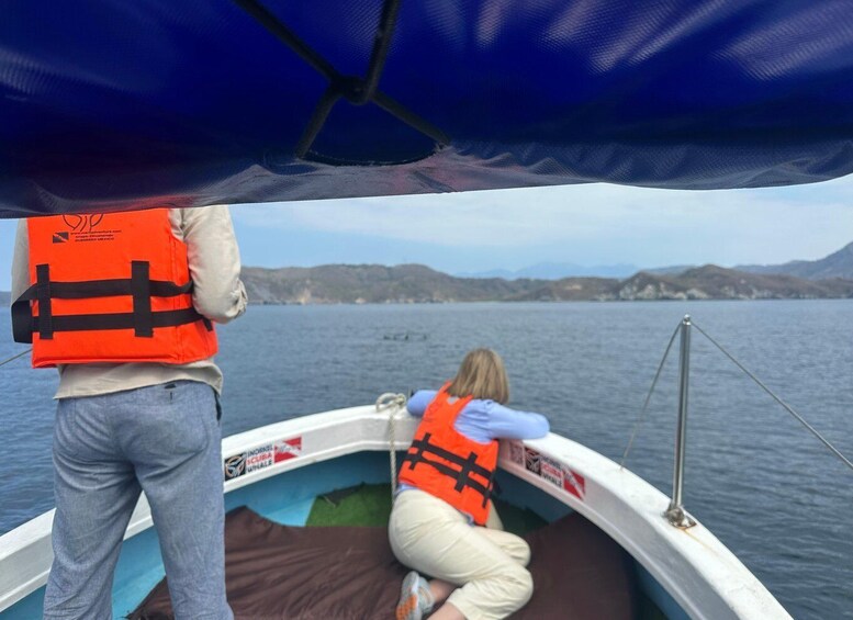 Picture 10 for Activity Zihuatanejo: Marine Life Observation Tour 3